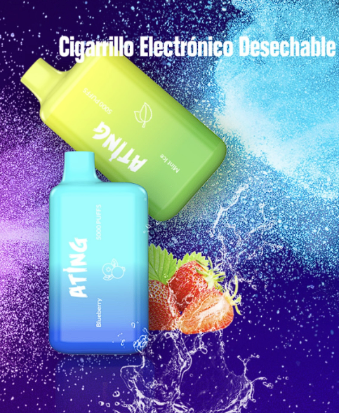 Cigarro Desechable 5000 puffs